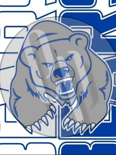 OMSD Bears